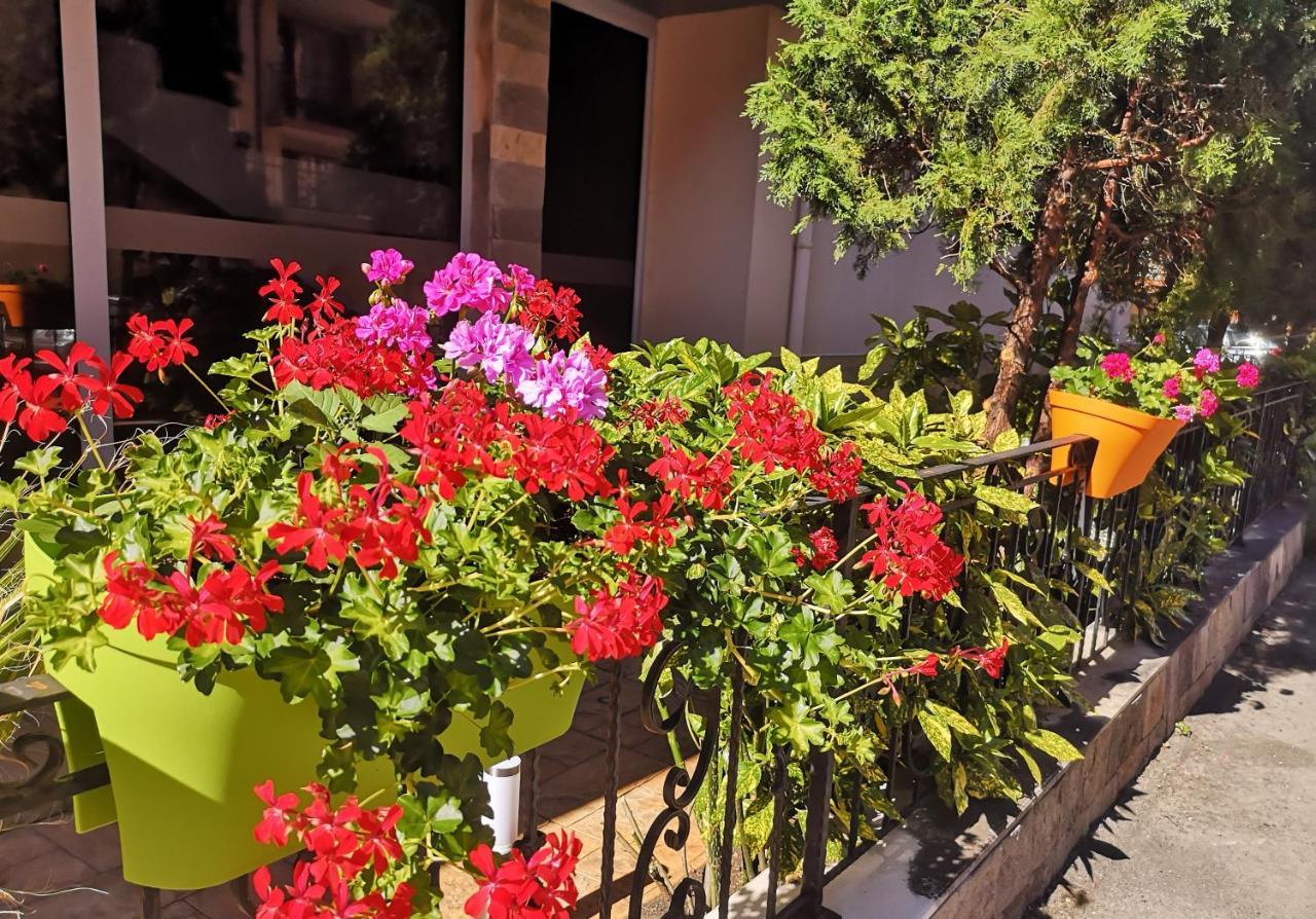 Tropics Hotel Sveti Vlas Εξωτερικό φωτογραφία